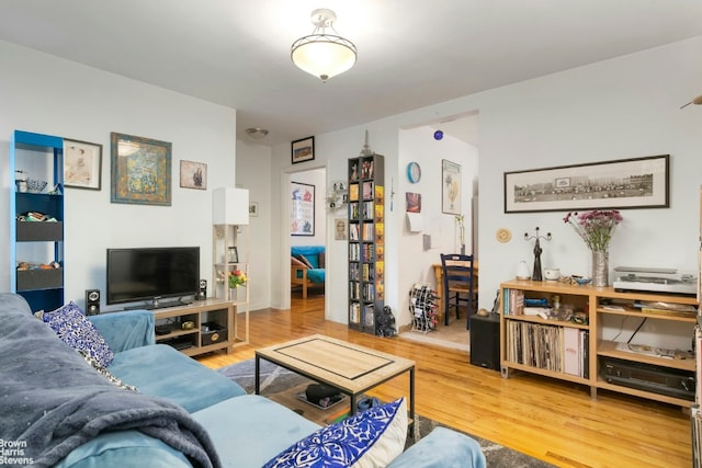 living room featuring wood-type flooring