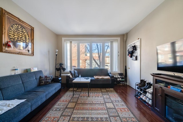 living room featuring dark hardwood / wood-style flooring