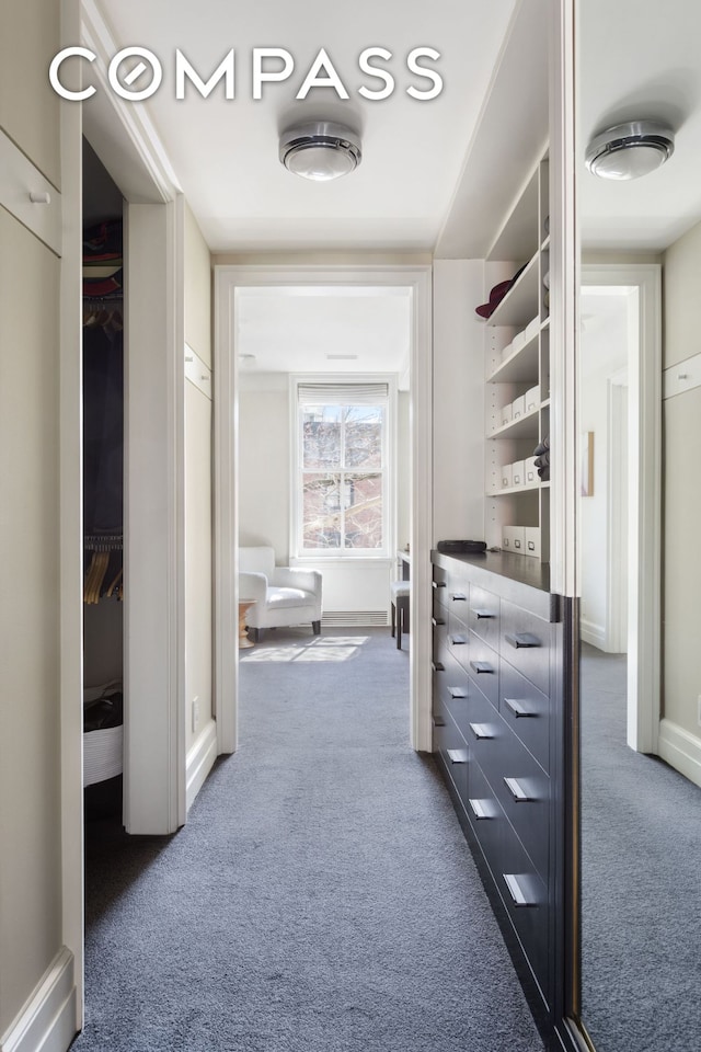 walk in closet featuring carpet flooring