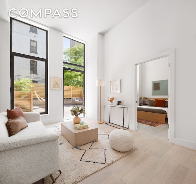 111 Montgomery Street Garden B, New York City, NY 11225 - sitting room with light wood finished floors, expansive windows, and a towering ceiling
