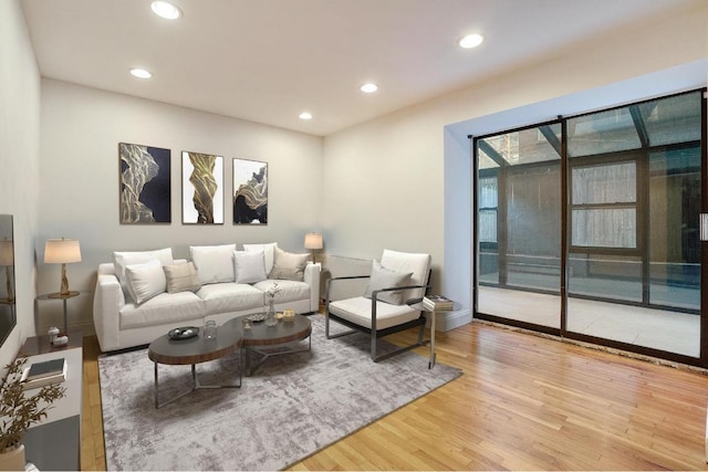 living room with light hardwood / wood-style floors