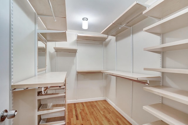 spacious closet featuring light wood-type flooring