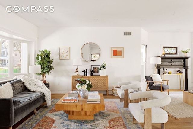 living room featuring hardwood / wood-style flooring