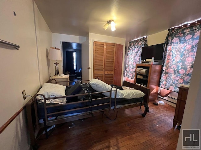 bedroom with a closet and wood-type flooring