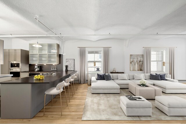 living room with track lighting, light hardwood / wood-style floors, and a textured ceiling