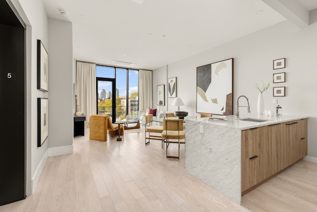 living area with light wood-type flooring, baseboards, and a wall of windows