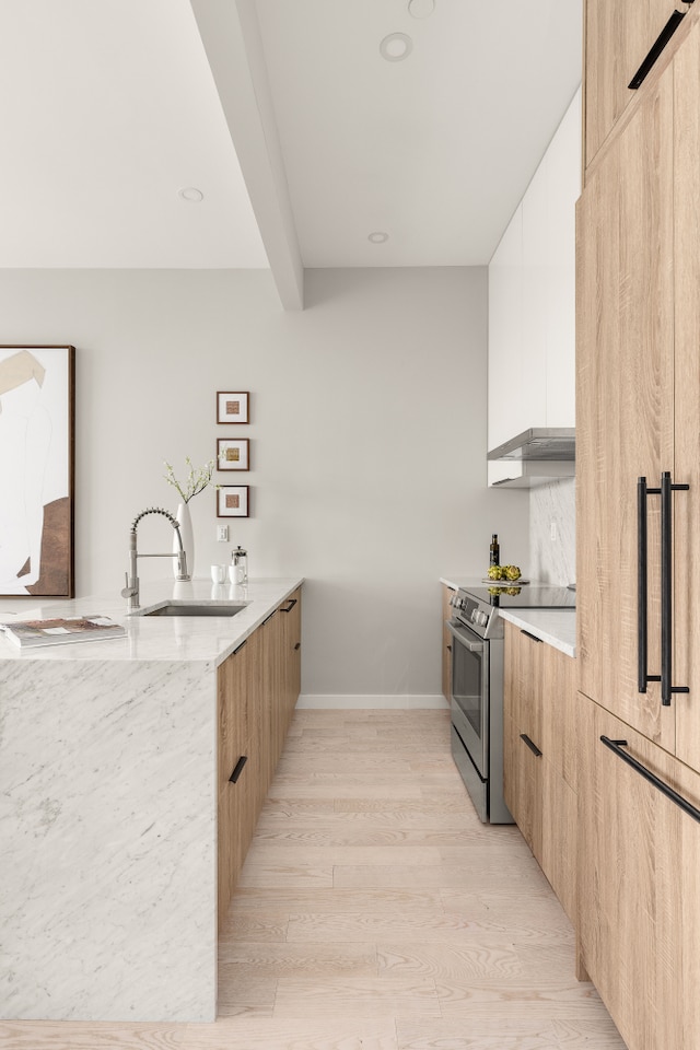 kitchen featuring a sink, light wood finished floors, modern cabinets, and stainless steel electric stove