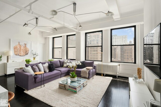 living room with dark hardwood / wood-style flooring and radiator heating unit