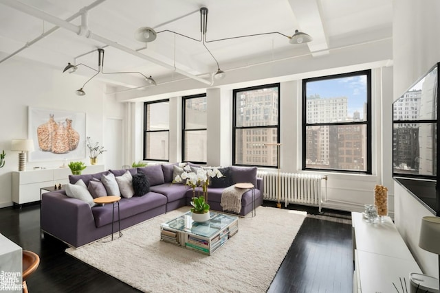 living area with dark wood-type flooring, a view of city, and radiator heating unit