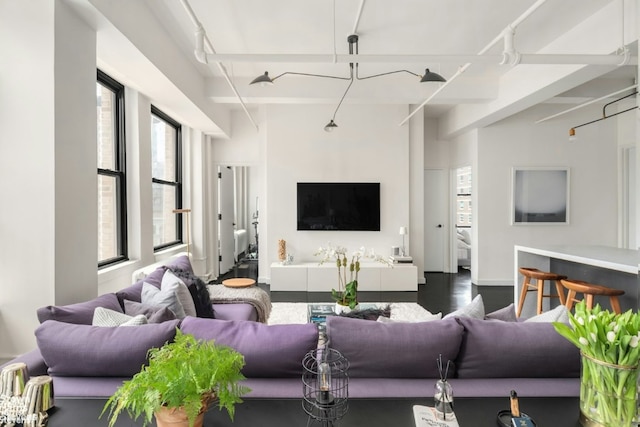 living room featuring hardwood / wood-style flooring