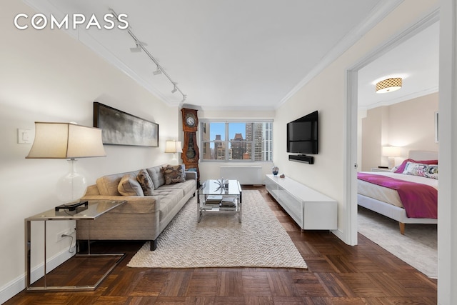 living area featuring ornamental molding, baseboards, and track lighting