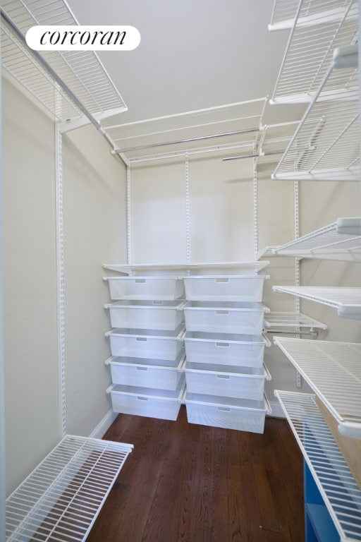 walk in closet featuring dark hardwood / wood-style flooring