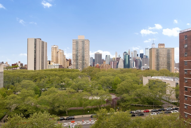 215 Adams St Unit 15G, New York City, NY 11201 - skyline view