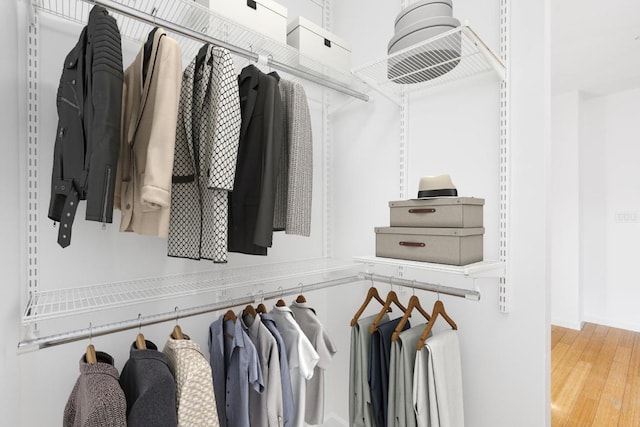 spacious closet featuring wood finished floors