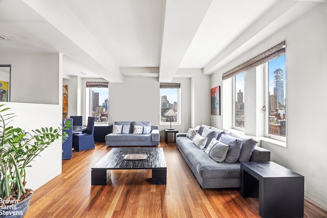 living area with a city view, wood finished floors, and baseboards