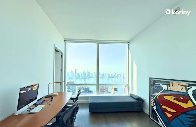 home office with hardwood / wood-style flooring and floor to ceiling windows