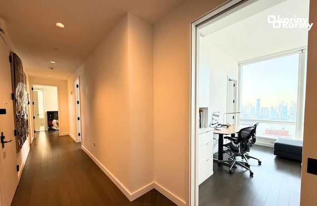 hallway featuring dark wood-type flooring