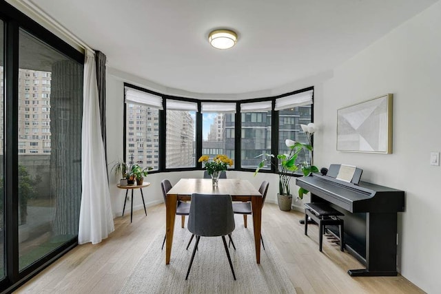 dining space with light hardwood / wood-style floors