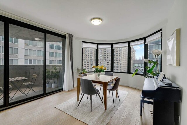 dining room with light hardwood / wood-style floors