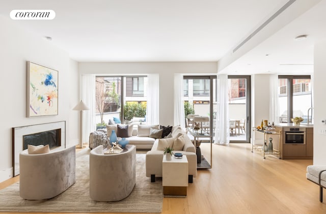 living room featuring light hardwood / wood-style flooring