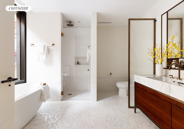 bathroom featuring a shower stall, a healthy amount of sunlight, toilet, vanity, and a bath