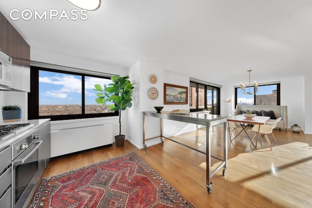 kitchen featuring light wood-style flooring, range, oven, and a wealth of natural light