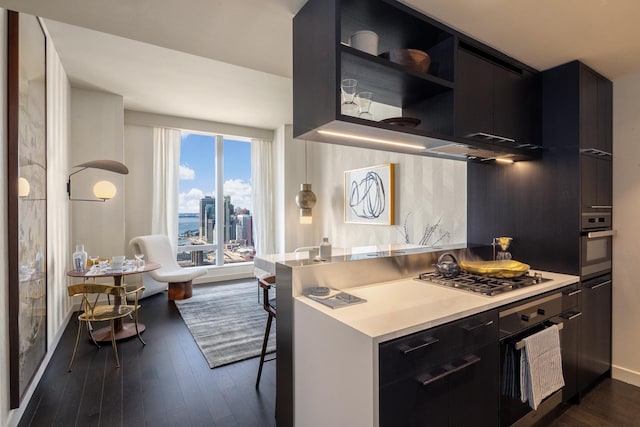 kitchen with stainless steel appliances, dark cabinets, dark wood-style flooring, and light countertops