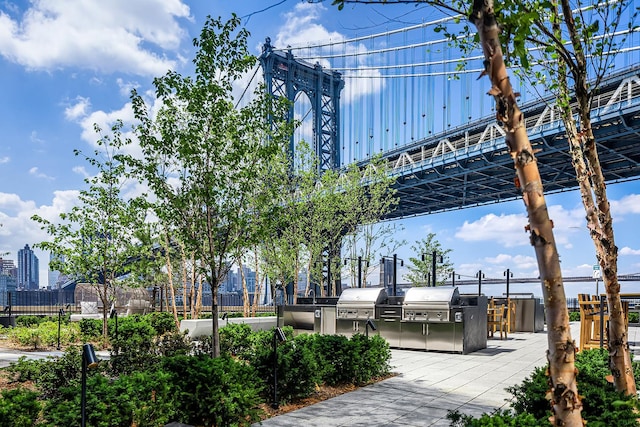 252 S St Unit 66B, New York City, NY 10002 - view of property's community featuring exterior kitchen