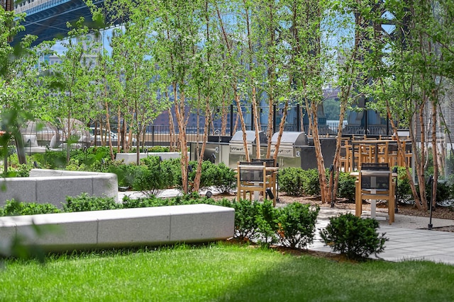 252 S St Unit 66B, New York City, NY 10002 - view of community