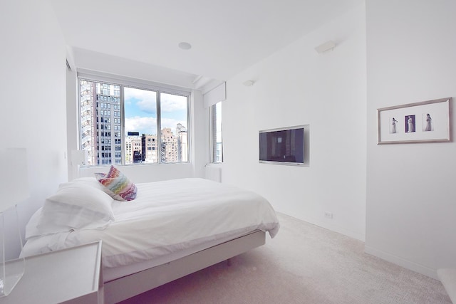 bedroom with baseboards and carpet floors