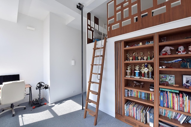 office area featuring carpet flooring