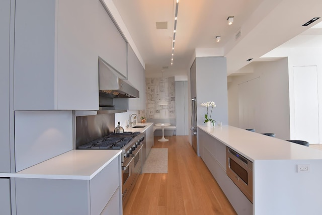 kitchen featuring light countertops, modern cabinets, light wood-style floors, and appliances with stainless steel finishes