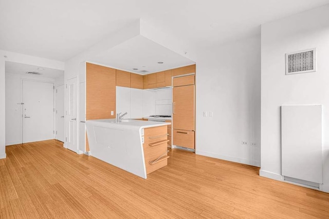 kitchen featuring sink and light hardwood / wood-style flooring