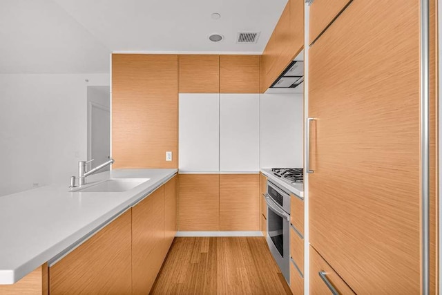 kitchen with sink, light wood-type flooring, range hood, and appliances with stainless steel finishes