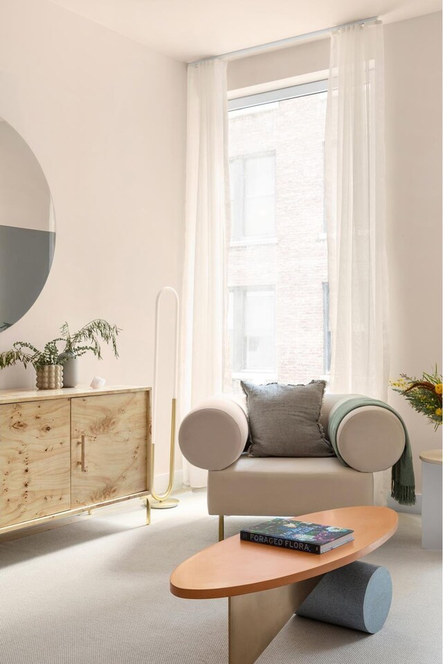 living area featuring carpet flooring