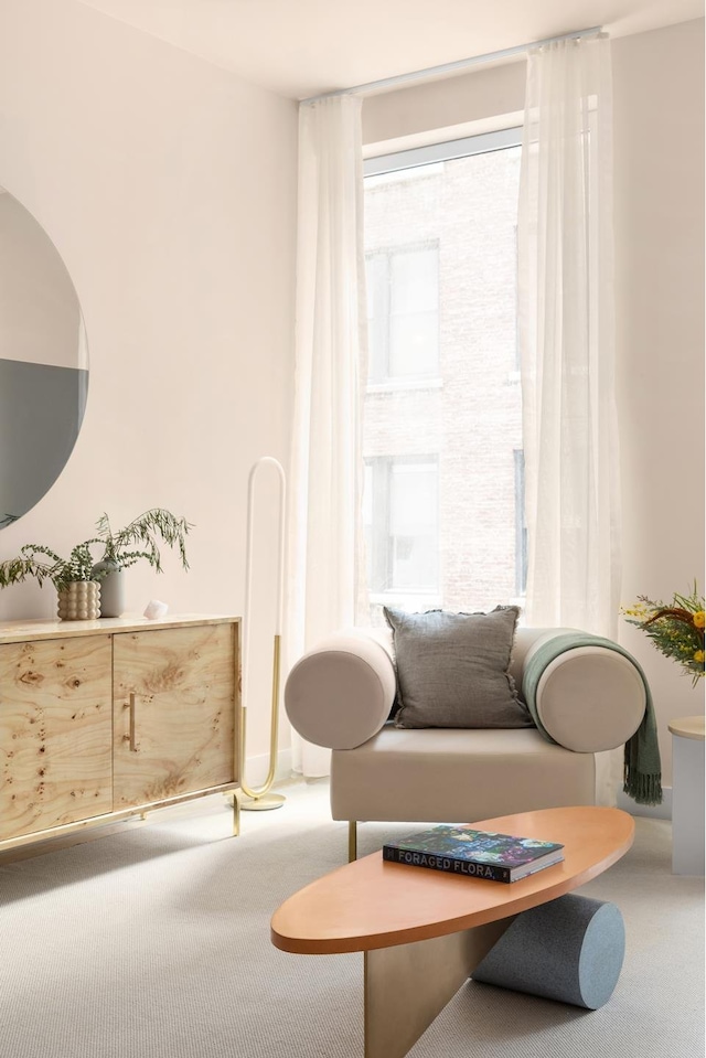 living area featuring carpet