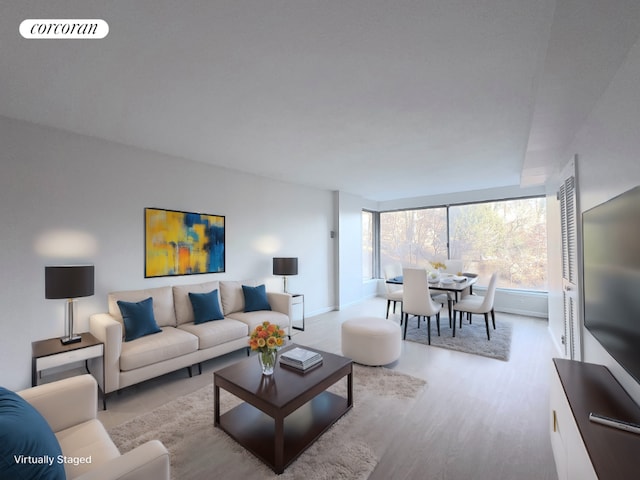 living room featuring light hardwood / wood-style flooring