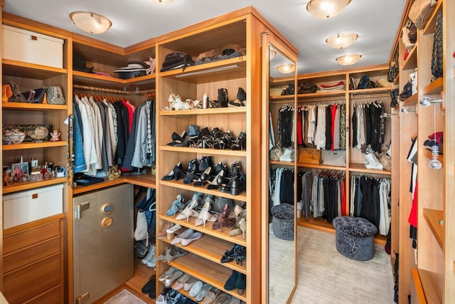 view of walk in closet