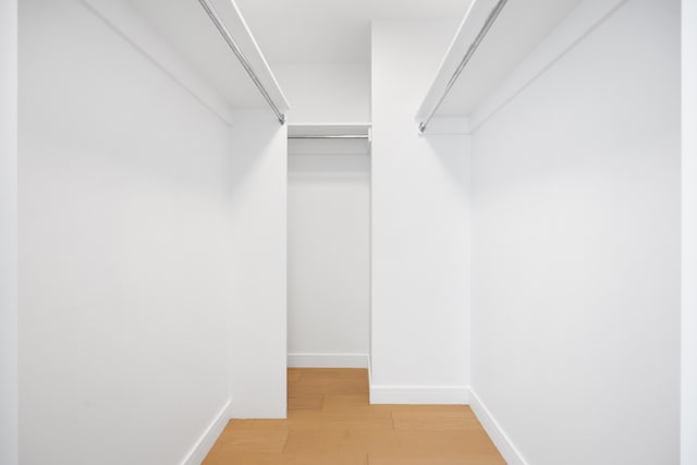 spacious closet featuring light wood finished floors