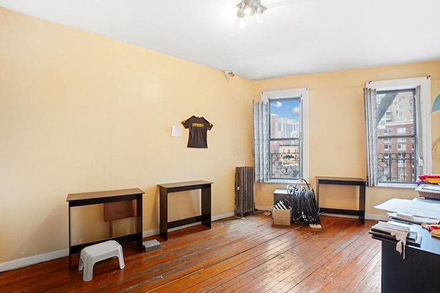 misc room with hardwood / wood-style flooring and a healthy amount of sunlight