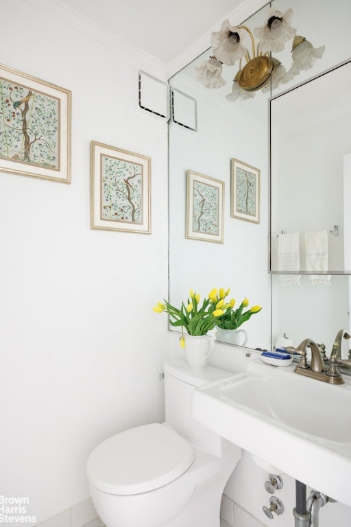 bathroom with sink, ornamental molding, and toilet