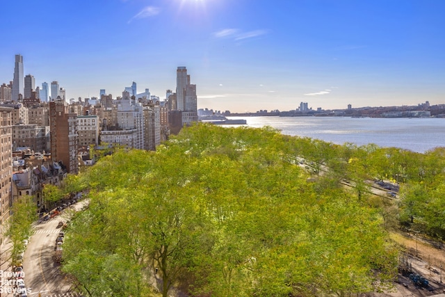 water view featuring a view of city
