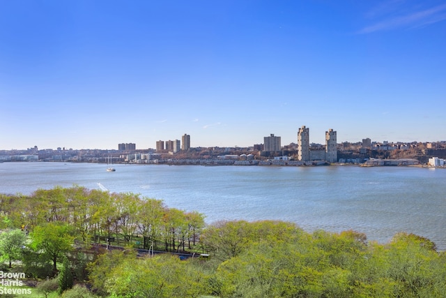 property view of water with a city view