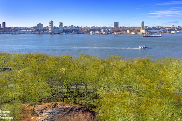 property view of water featuring a city view