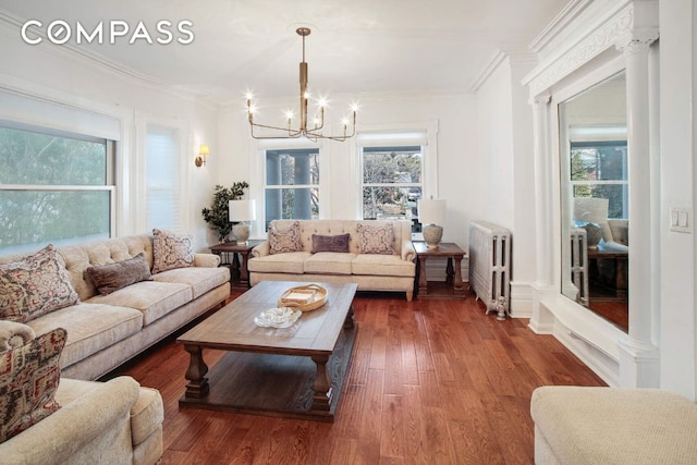 living room featuring crown molding, dark hardwood / wood-style flooring, radiator, and an inviting chandelier