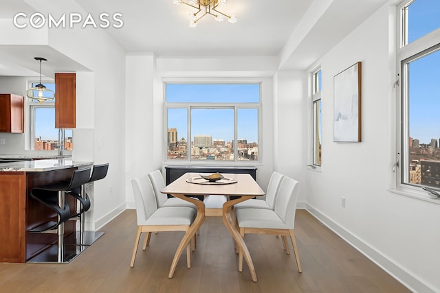 dining room with dark wood-style floors, a view of city, and baseboards