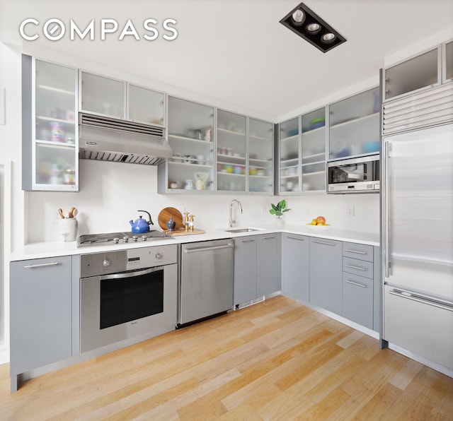 kitchen with light wood-style flooring, built in appliances, gray cabinets, under cabinet range hood, and a sink