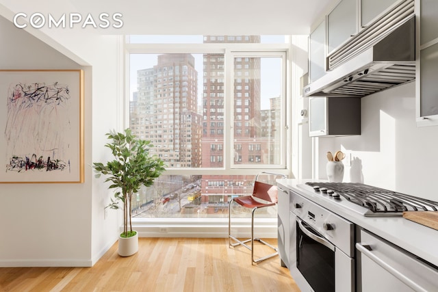 kitchen featuring stainless steel appliances, a view of city, plenty of natural light, and under cabinet range hood