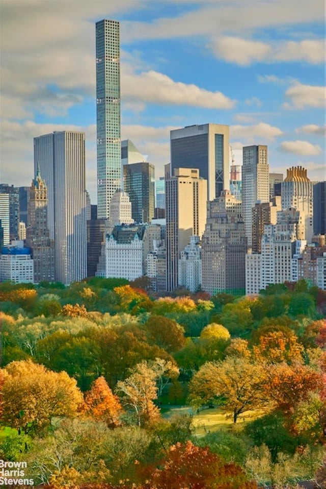 property's view of city