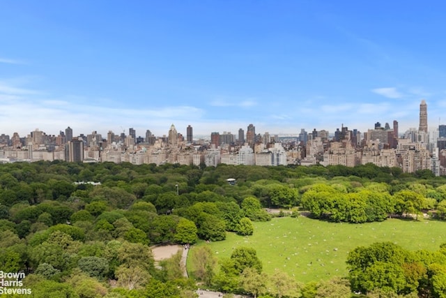 aerial view featuring a city view